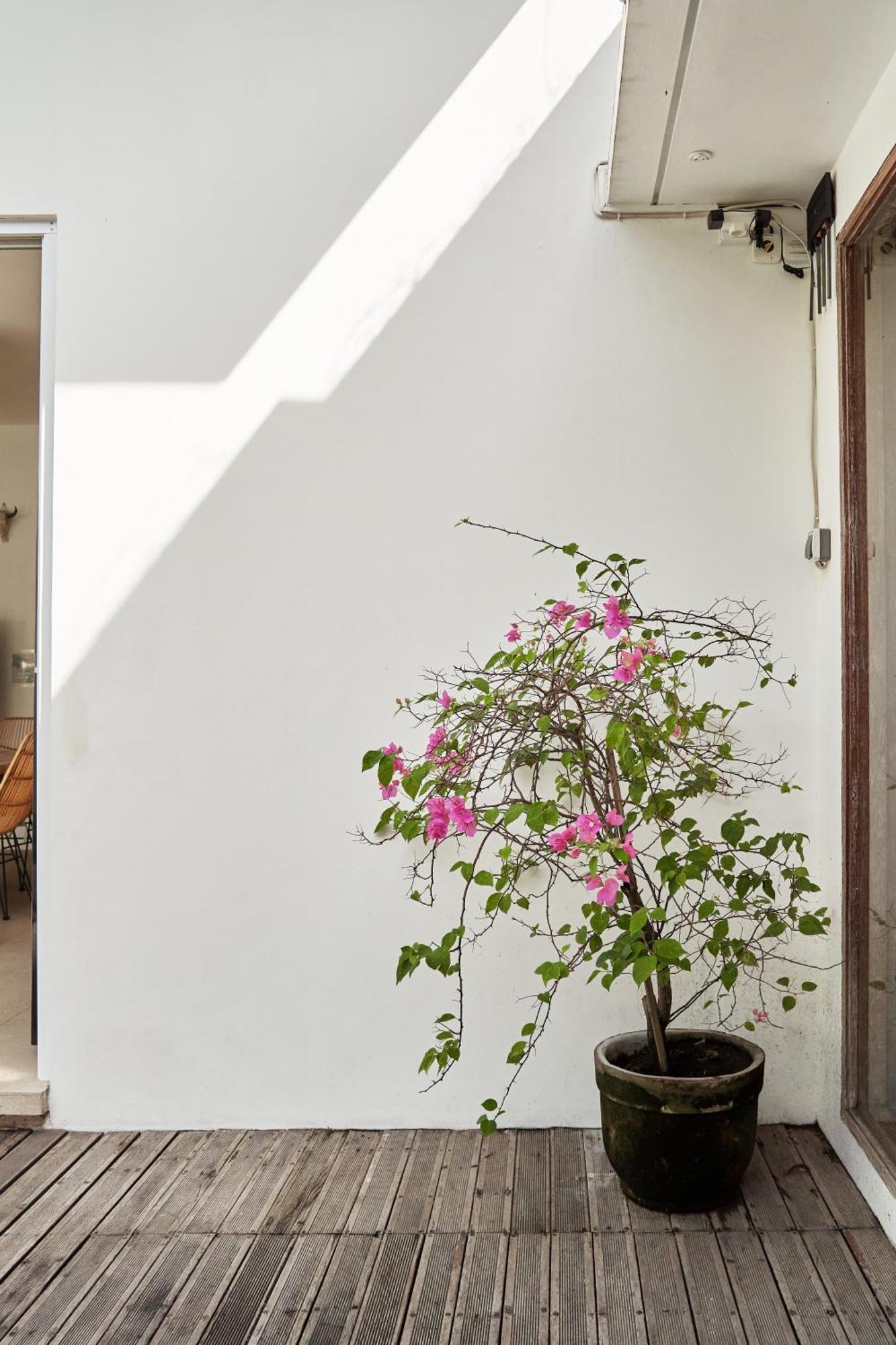 Villa Karuna Uppala Umalas 캉구 외부 사진